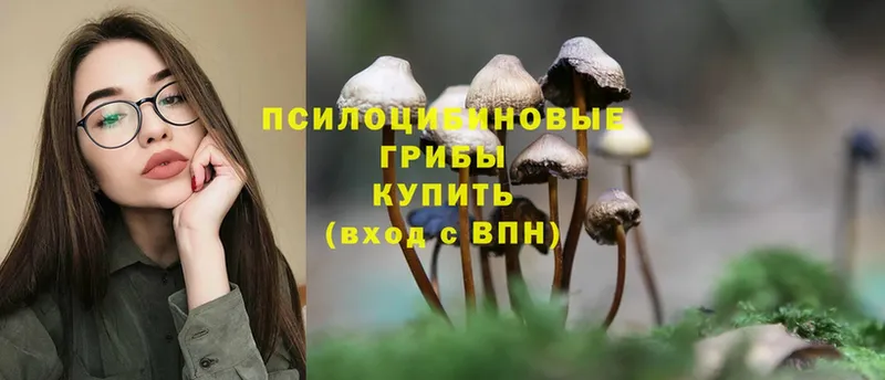 Псилоцибиновые грибы Cubensis  Нарткала 